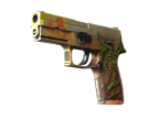 P250 | Inferno image